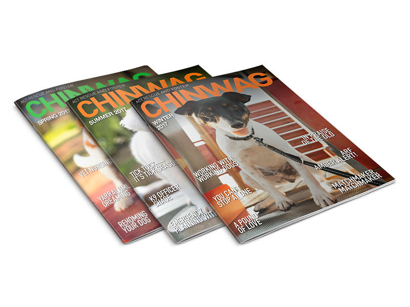 ARF Chinwag Magazine Mockups